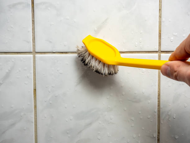 Best Same-Day Mold Removal  in Britt, IA