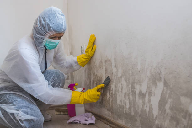 Water Damage Restoration in Britt, IA