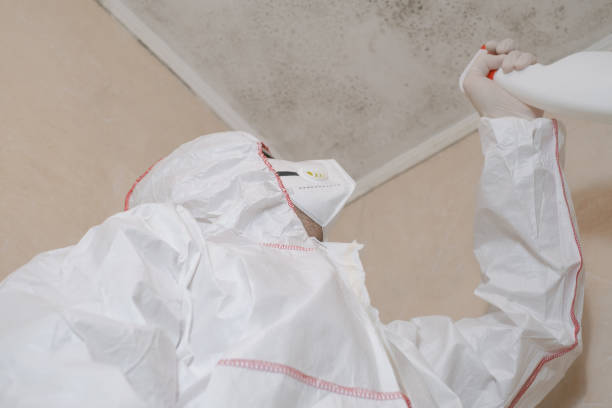 Best Professional Mold Removal  in Britt, IA